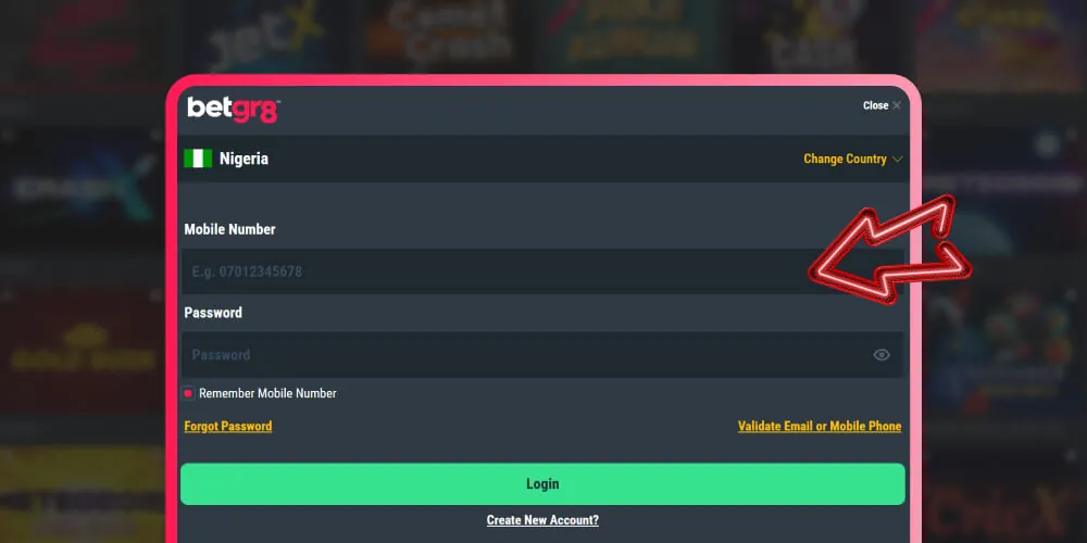 enter your login details